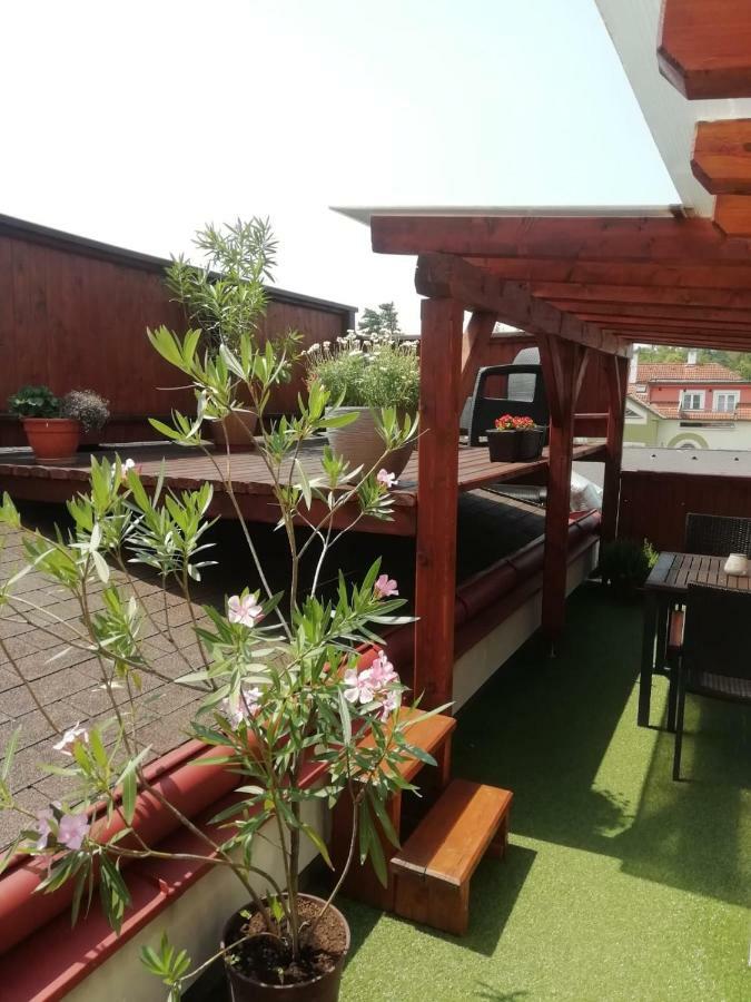 Penzion U Papousku Jindřichŭv Hradec Exterior foto